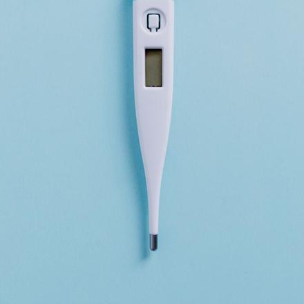 Digital thermometer