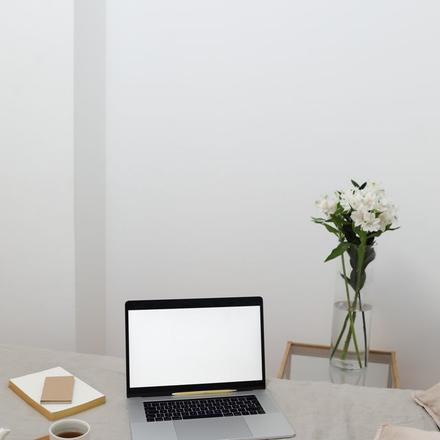15.6" laptop